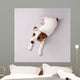 Puppy Wall Decal Design 1