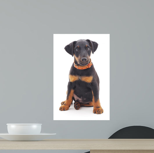 Hunting Dog Wall Decal