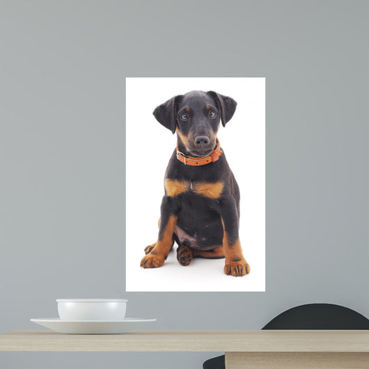 Hunting Dog Wall Decal