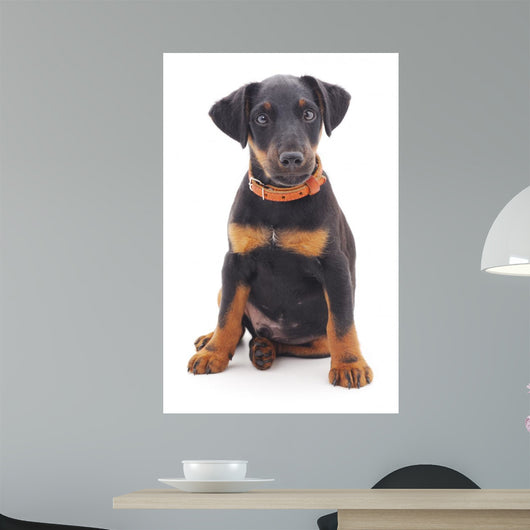 Hunting Dog Wall Decal