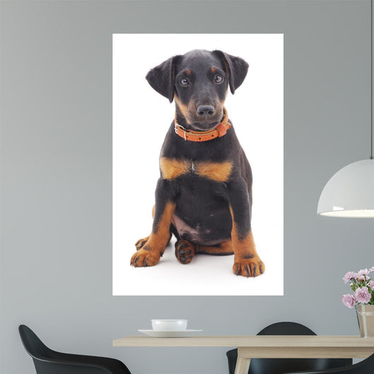 Hunting Dog Wall Decal
