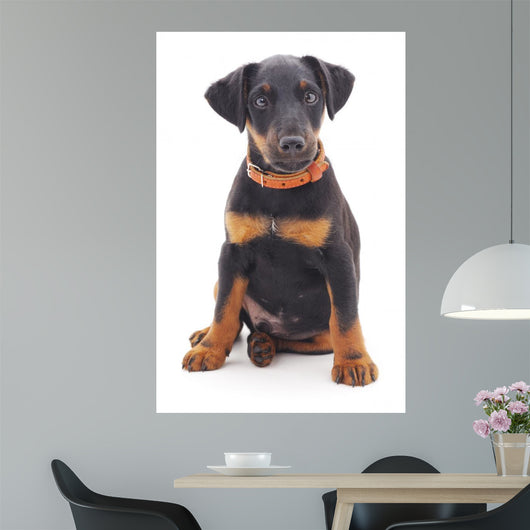 Hunting Dog Wall Decal