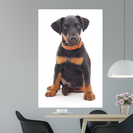 Hunting Dog Wall Decal
