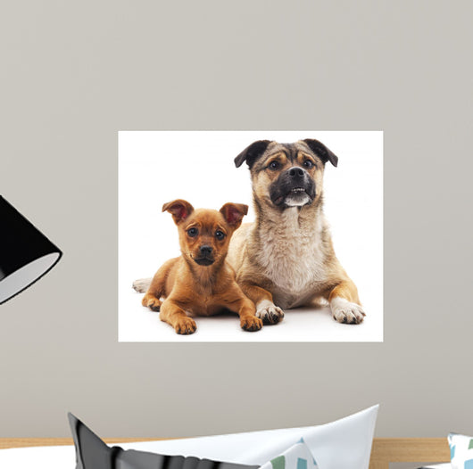Two Dogs Wall Decal