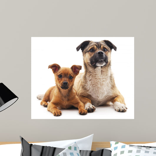 Two Dogs Wall Decal