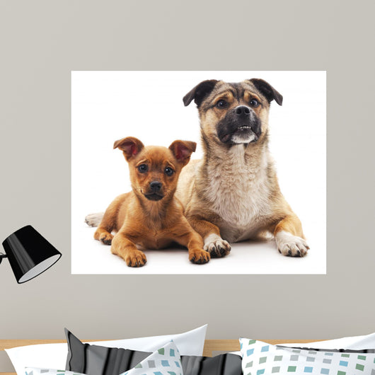 Two Dogs Wall Decal