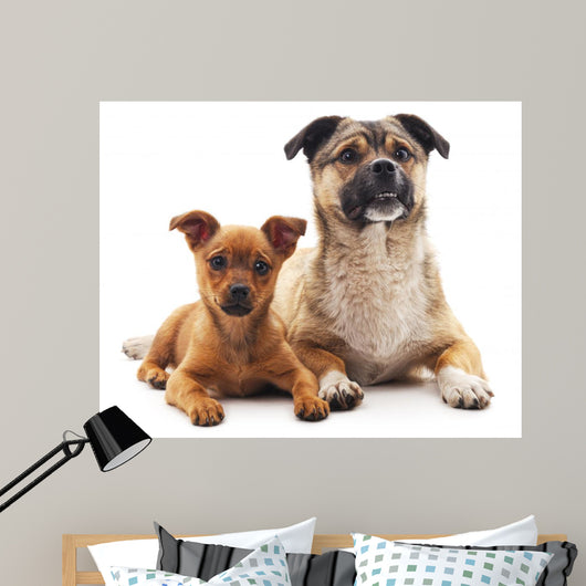 Two Dogs Wall Decal