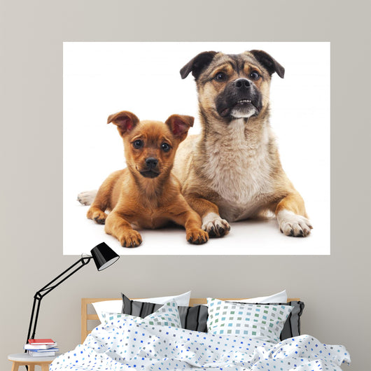 Two Dogs Wall Decal