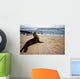 Galapagos Sea Lon Wall Mural