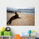 Galapagos Sea Lon Wall Mural