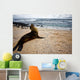 Galapagos Sea Lon Wall Mural