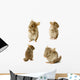 Chinchilla Sequence Shot Wall Stickers