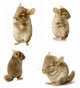 Chinchilla Sequence Shot Wall Stickers
