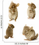 Chinchilla Sequence Shot Wall Stickers