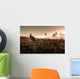 Kangaroo Encounter during Sunrise Wall Decal