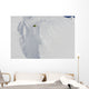 Professional Snowboarder Wall Decal Design 7