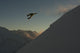 Professional Snowboarder Wall Decal Design 4
