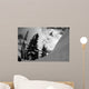 Professional Snowboarder Kevin Pearce Wall Decal