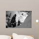 Professional Snowboarder Kevin Pearce Wall Decal