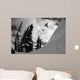 Professional Snowboarder Kevin Pearce Wall Decal