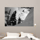 Professional Snowboarder Kevin Pearce Wall Decal
