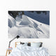 Professional Snowboarder Gigi R Wall Decal Design 1