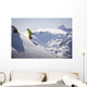 Professional Snowboarder Wall Decal Design 3