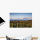 Early Morning Shot North Wall Decal