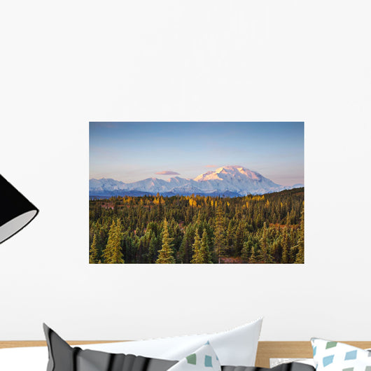 Early Morning Shot North Wall Decal