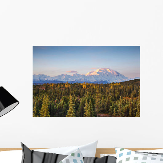 Early Morning Shot North Wall Decal