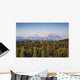 Early Morning Shot North Wall Decal