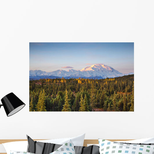 Early Morning Shot North Wall Decal