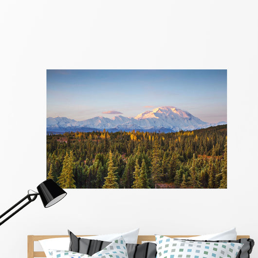 Early Morning Shot North Wall Decal