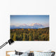 Early Morning Shot North Wall Decal