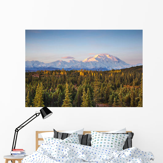 Early Morning Shot North Wall Decal