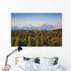 Early Morning Shot North Wall Decal