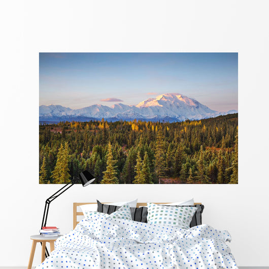 Early Morning Shot North Wall Decal