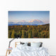 Early Morning Shot North Wall Decal
