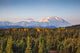 Early Morning Shot North Wall Decal