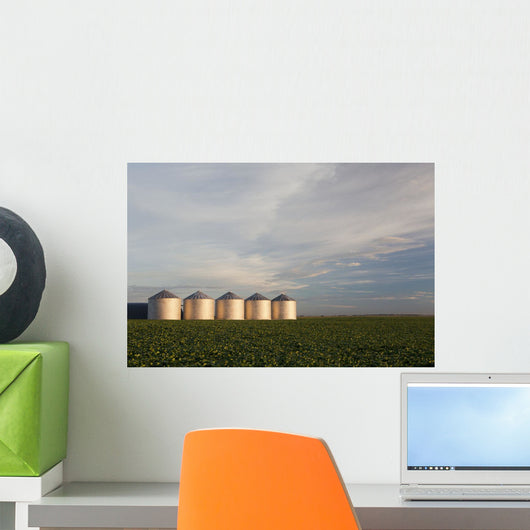 Metal Grain Bins Reflecting Wall Decal Design 2