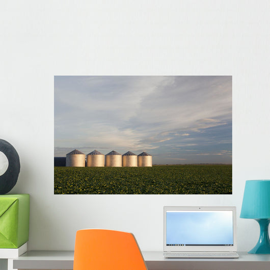 Metal Grain Bins Reflecting Wall Decal Design 2