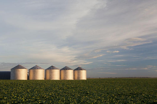 Metal Grain Bins Reflecting Wall Decal Design 2