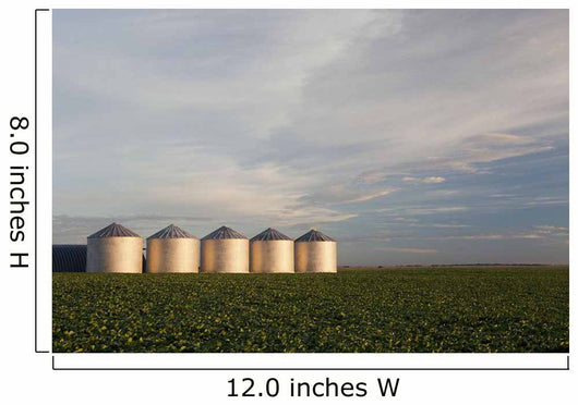 Metal Grain Bins Reflecting Wall Decal Design 2