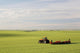 Tractor Wall Decal