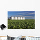 Early Canola Field with Wall Decal