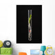 Corn Seedling Test Tube Wall Decal Design 2