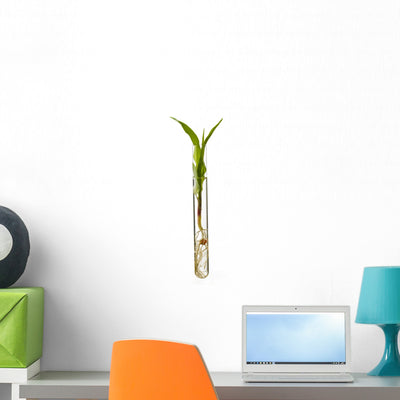 Corn Seedling Test Tube Wall Decal Design 1 shown on a wall