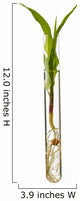 Corn Seedling Test Tube Wall Decal Design 1