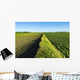 A newly planted soybean field Wall Mural