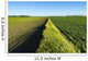 A newly planted soybean field Wall Mural